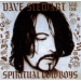 Dave Stewart and the Spiritual Cowboys